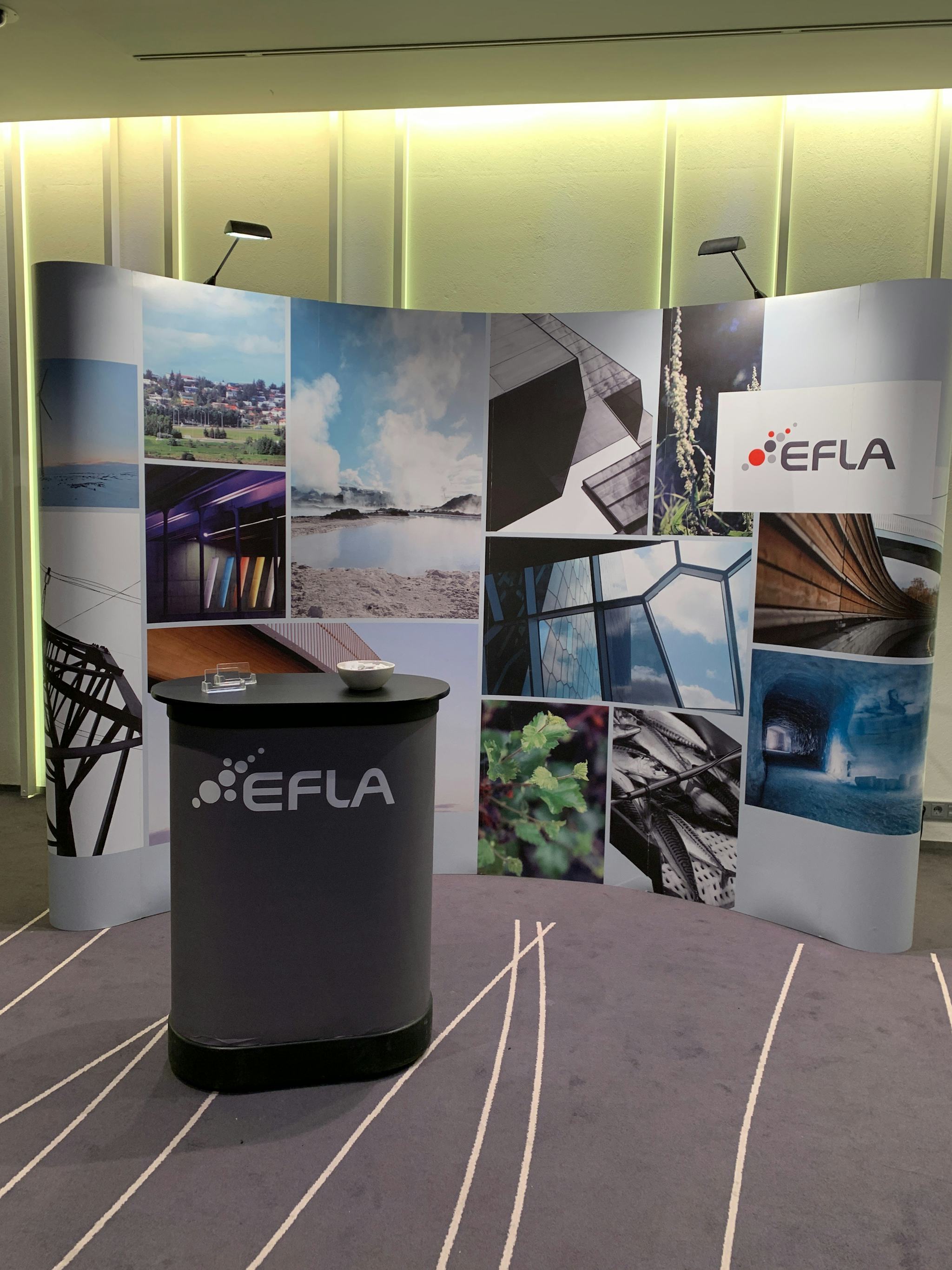 EFLA booth at a conference