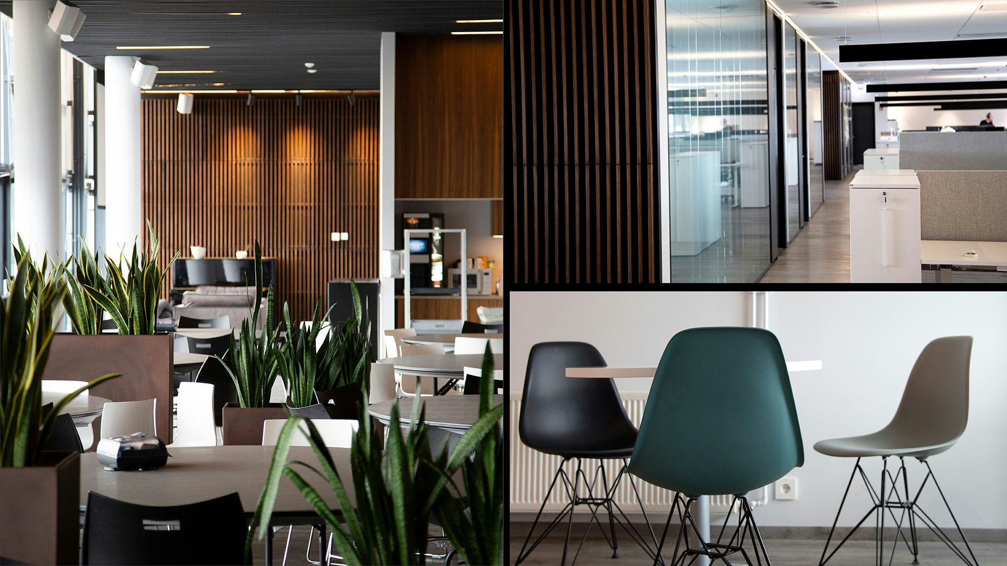 A collage image of three photos. On the left an overview of a canteen or conference space with wooden panels on the walls, plants spread through the space, round tables and chairs. On the right an image of three chairs with steel structured legs around a round table and an image of an office hallway with glass wall and wooden panel on the left side and office spaces on the right side. 