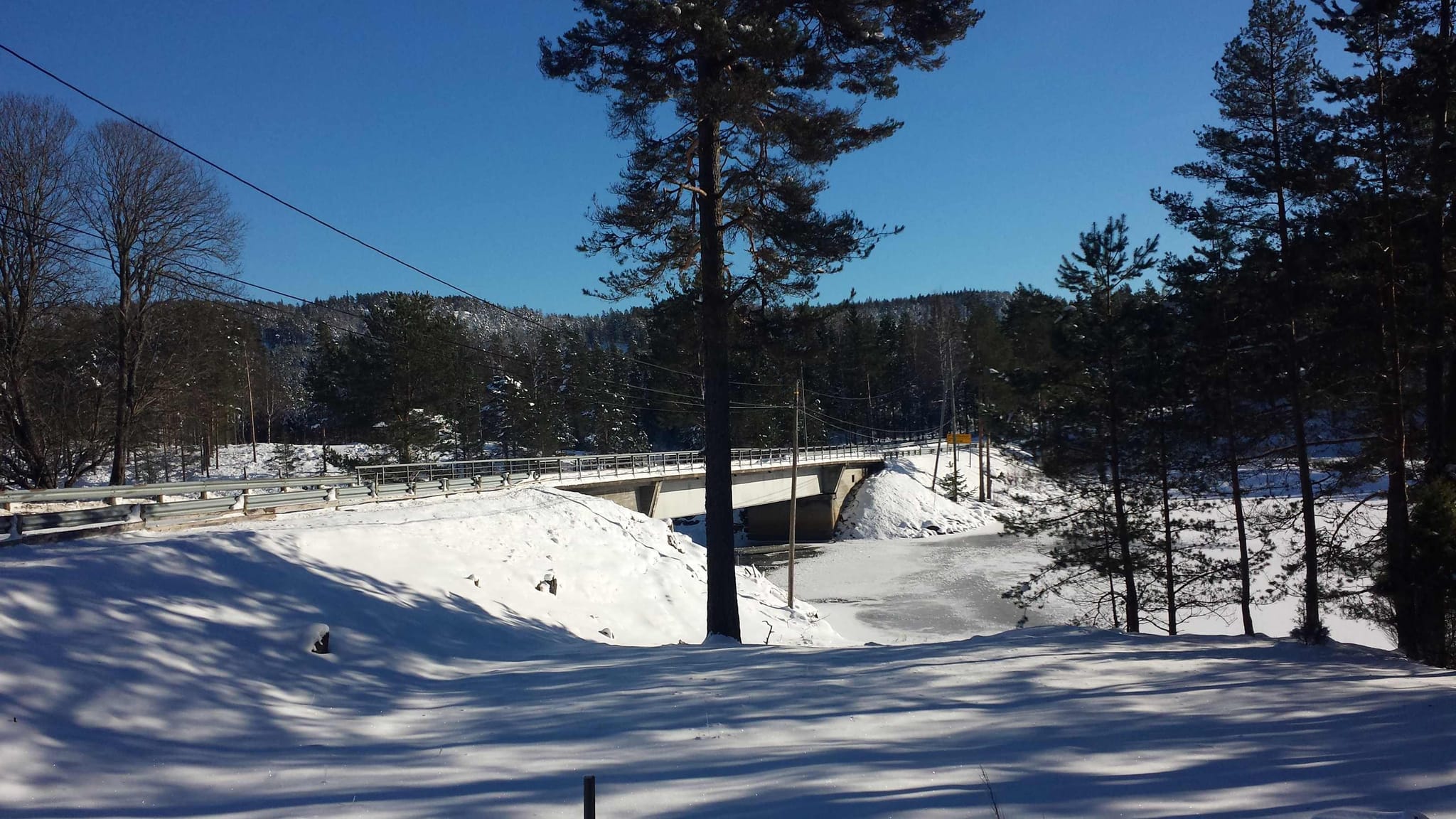 Bridge in a snowy surrounding with trees in background