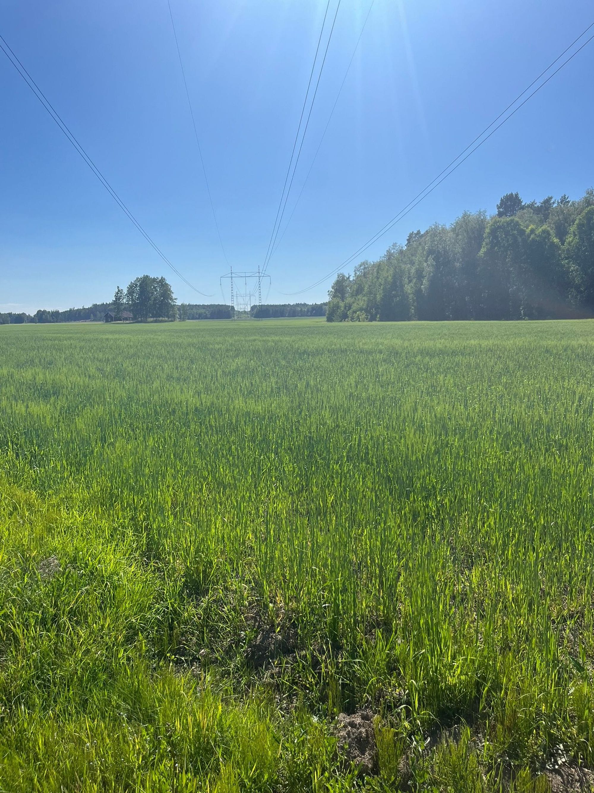 power mast and green grass field