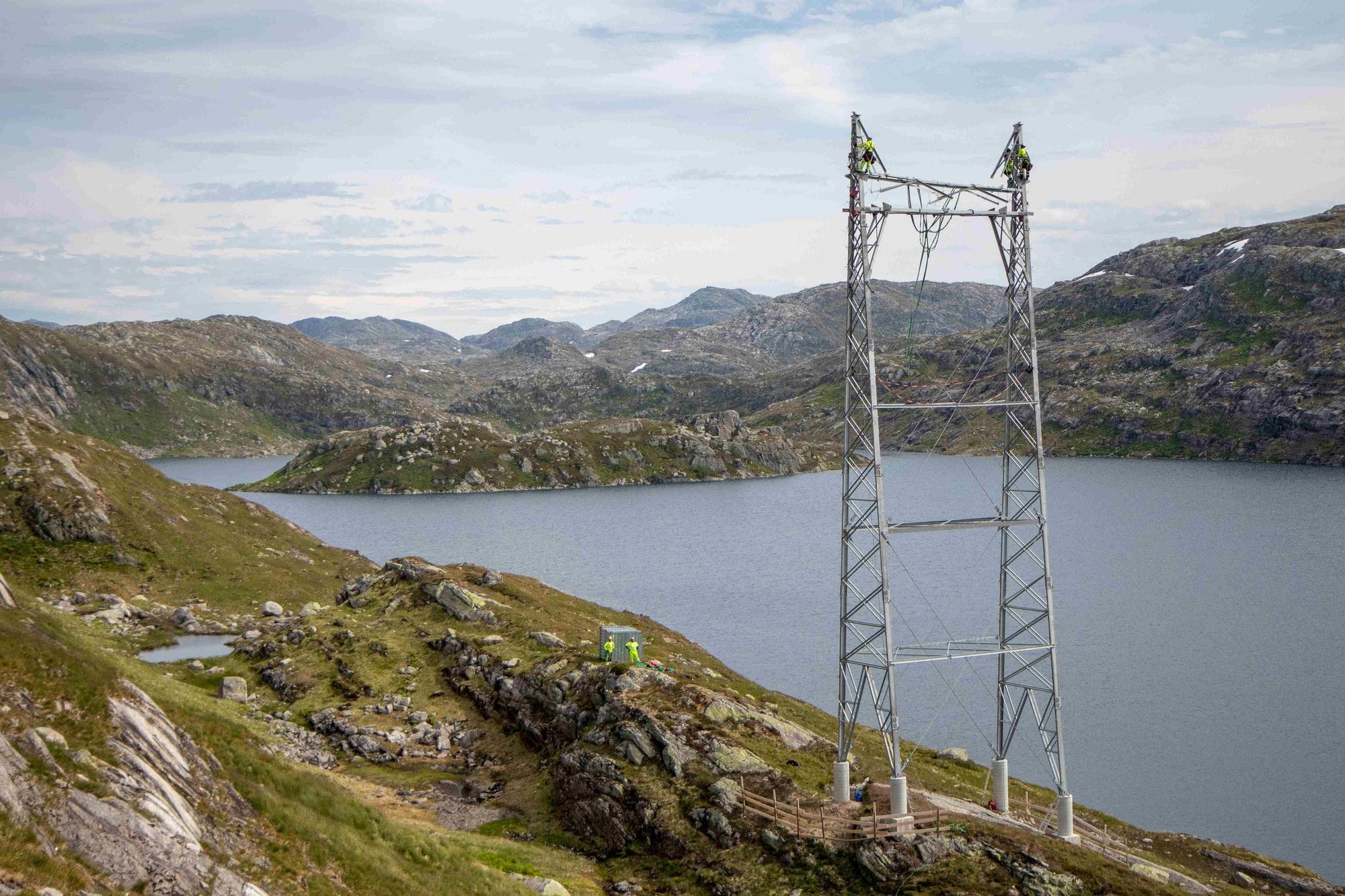 Mast in nature
