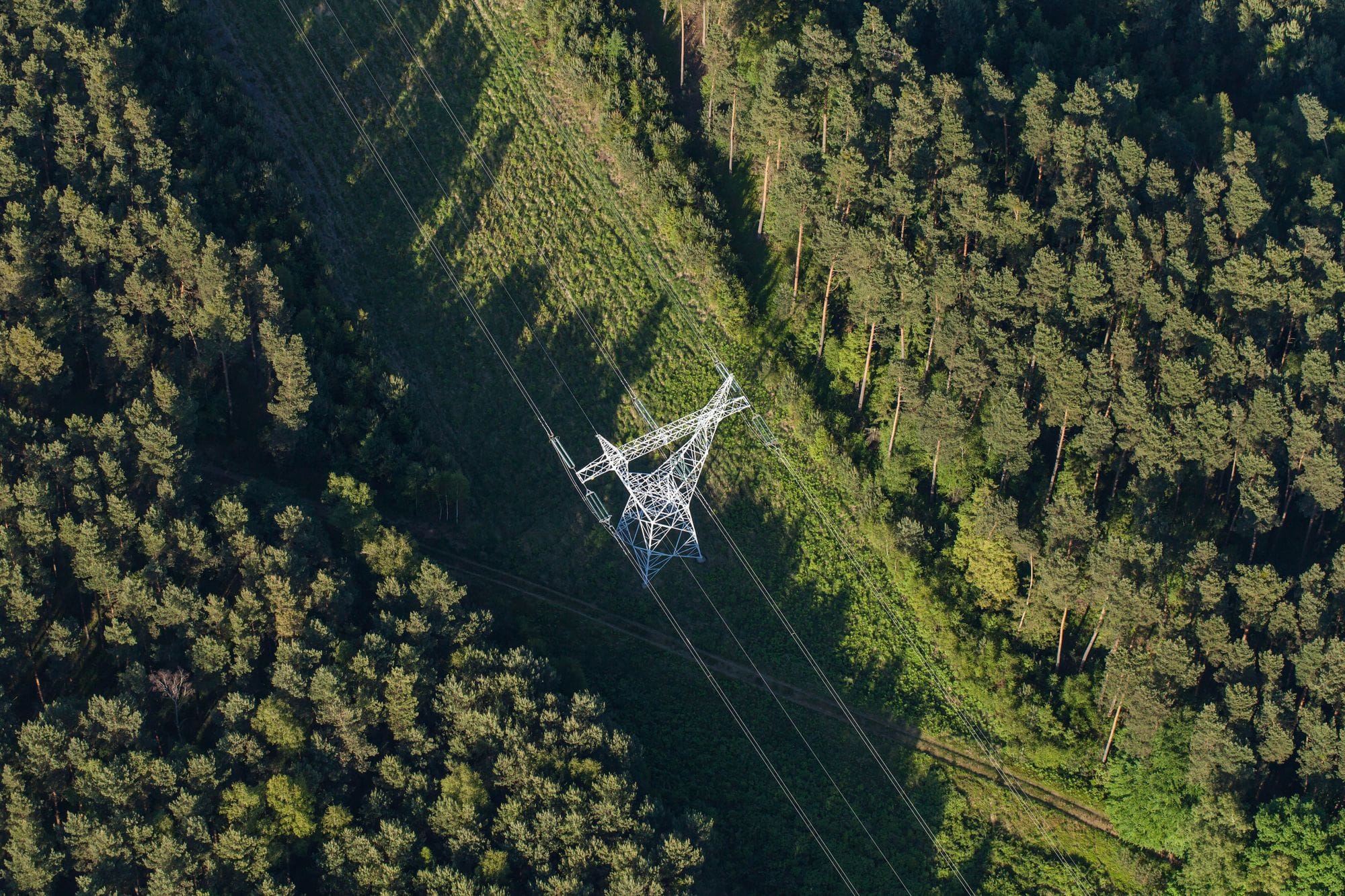 Areal photo of a wooden area with an electrical line 