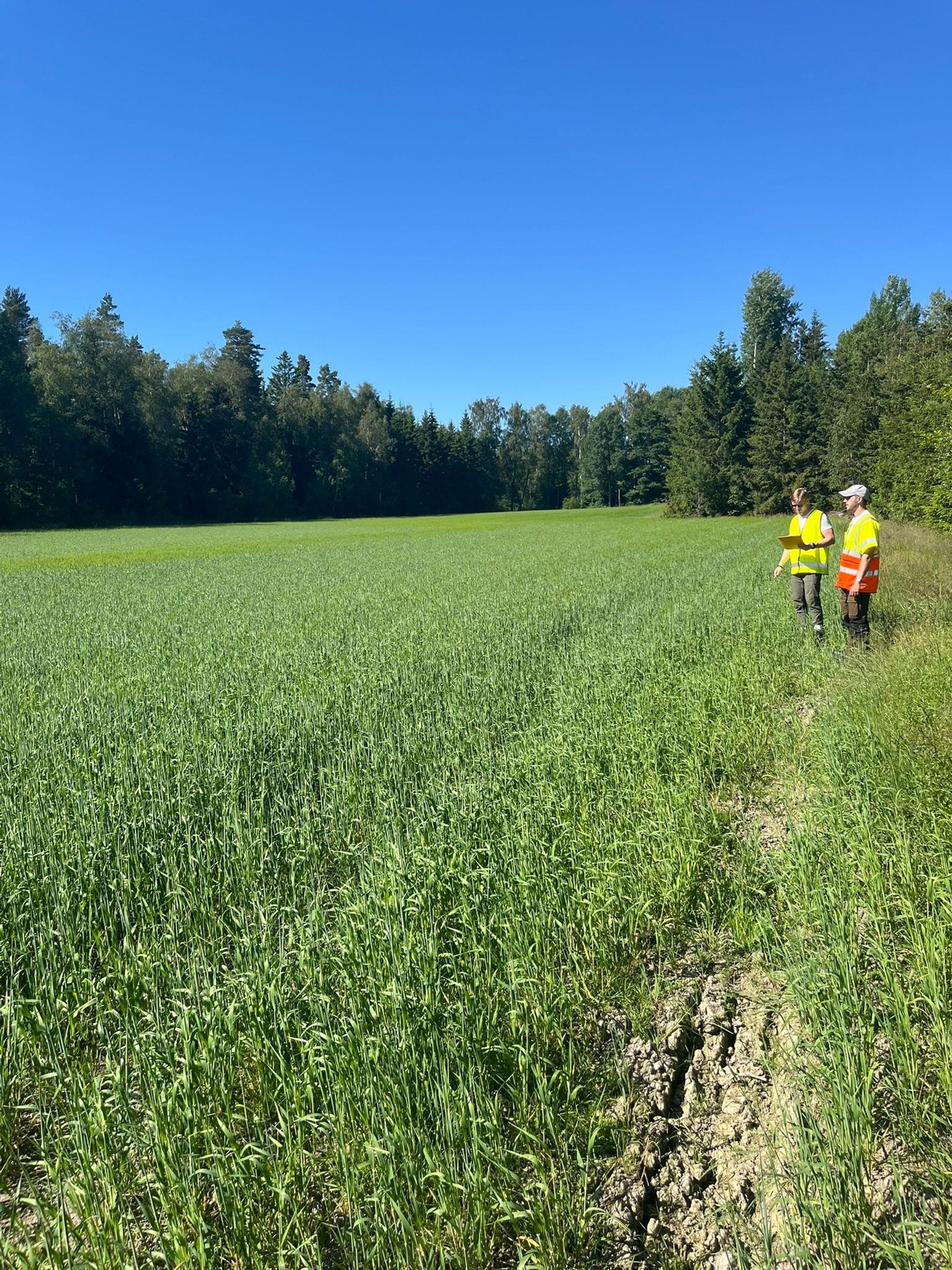 Two working people wearing yellor work clothing in a green grassy field 