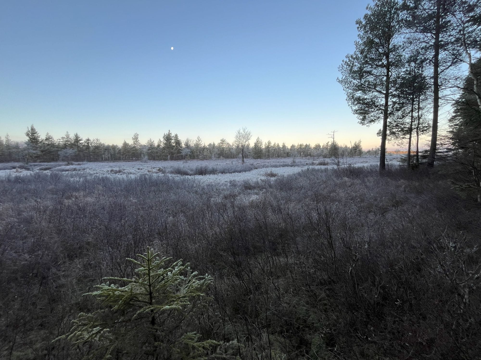 Sun rising and frosty field
