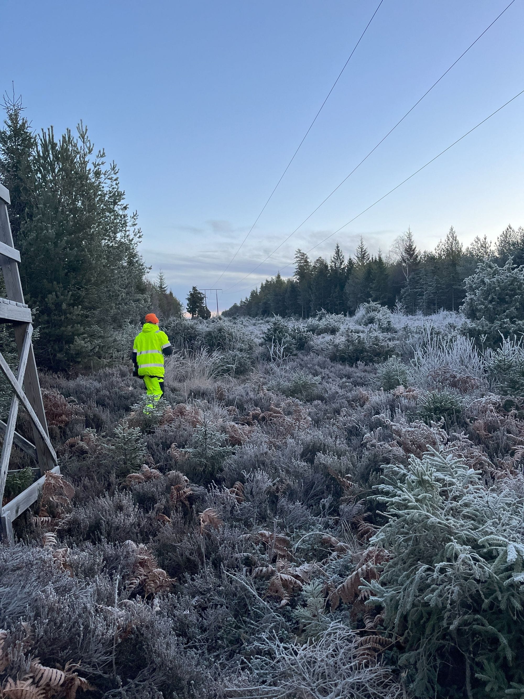 Working man with yellow work clothing and red helmet on in a frosty forest environment
