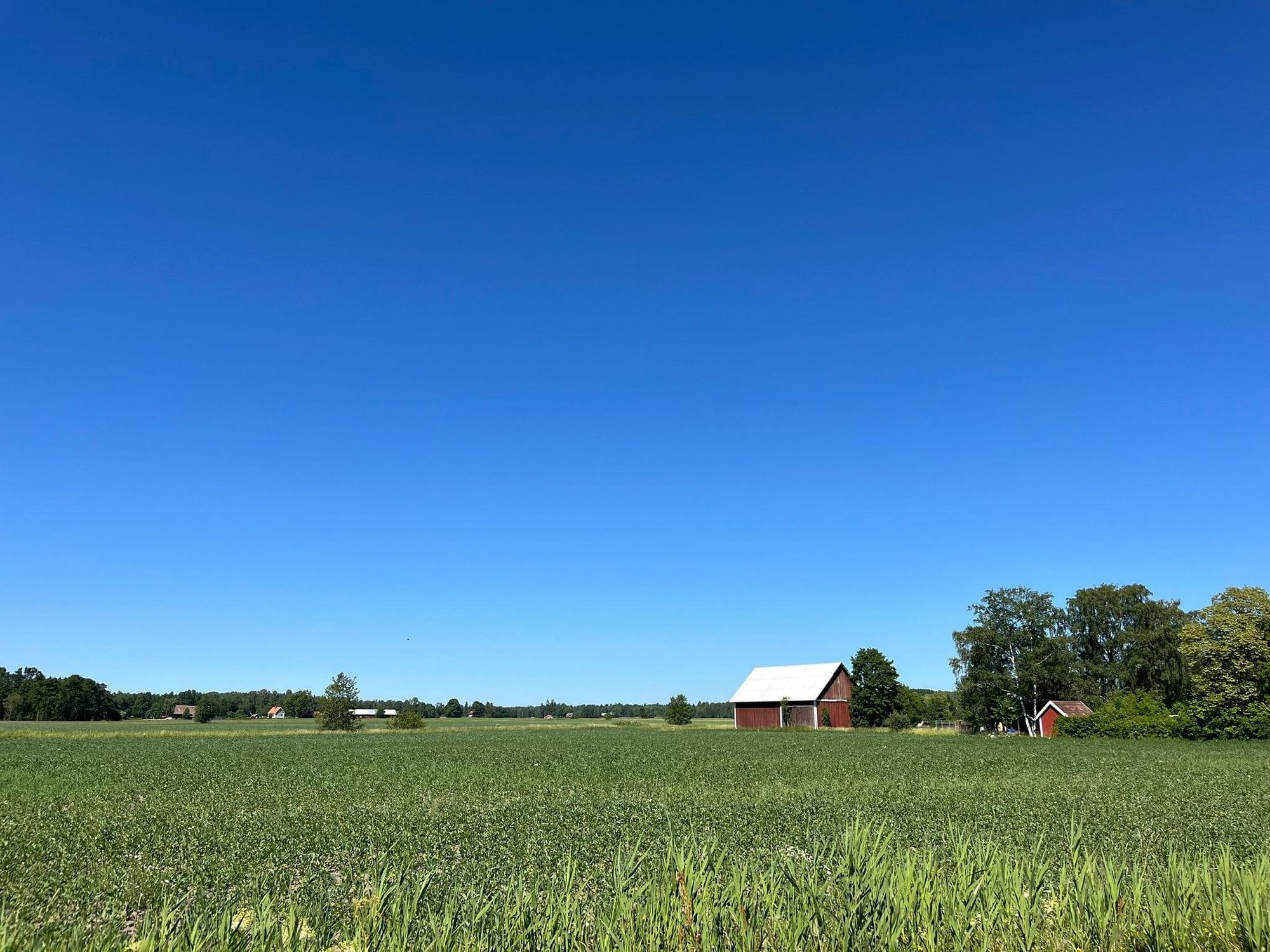 Green wide field, house and very blue skies