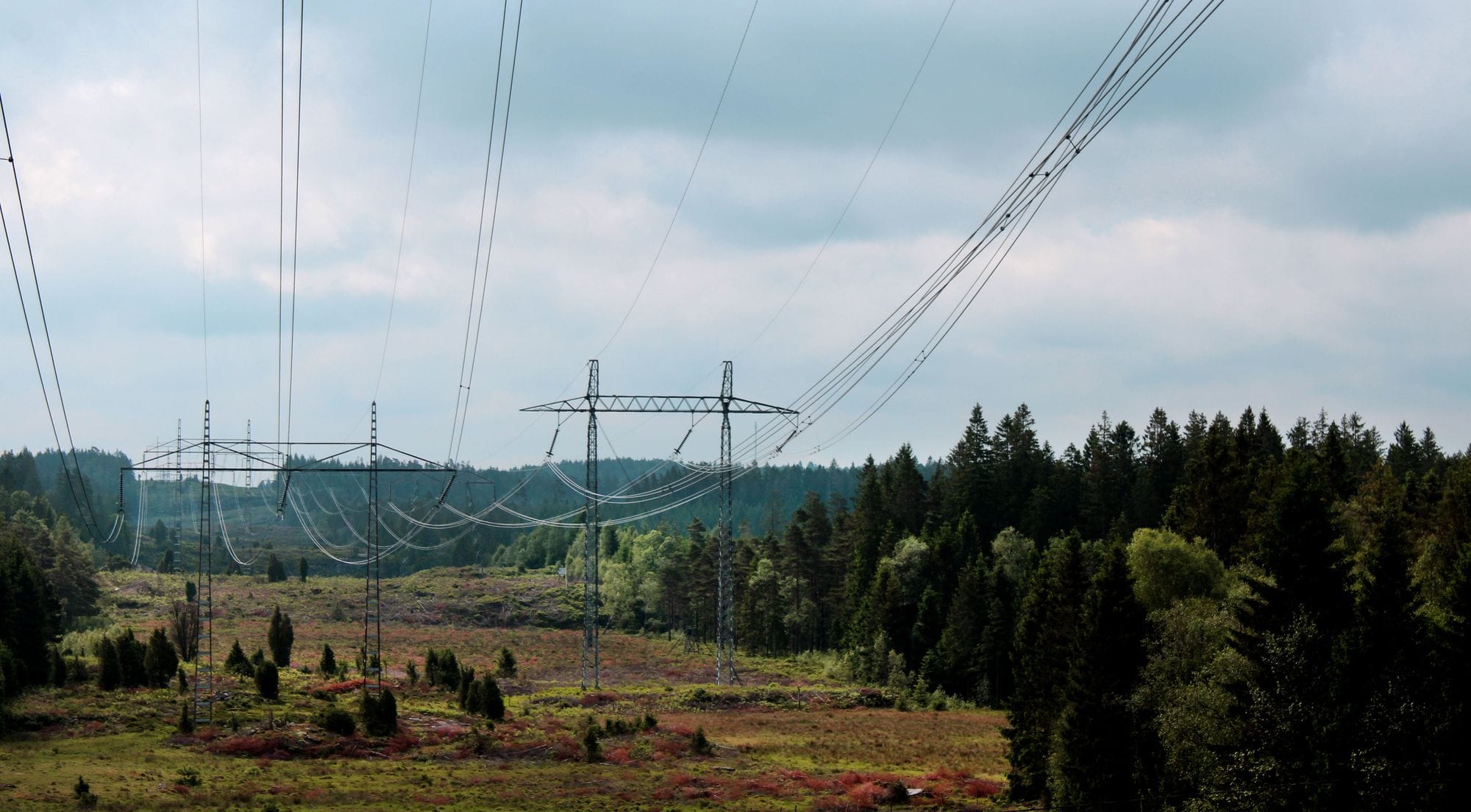 Landscape with power masts and power lines, forest and skies