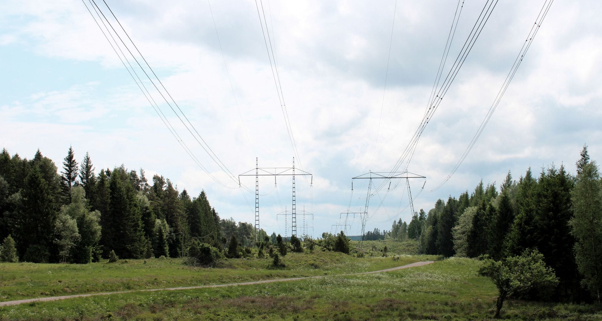 Landscape with power masts and power lines, forest and skies