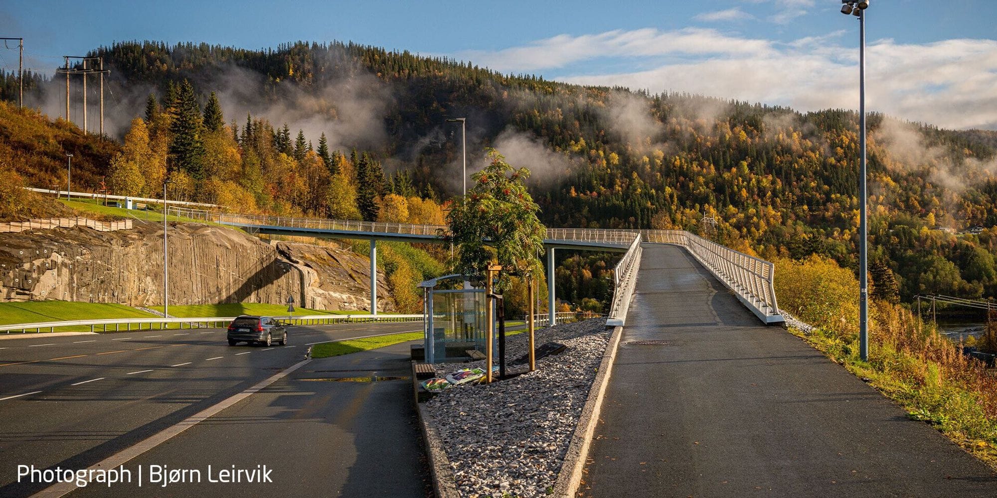 Footbridge near a forest in Norway.