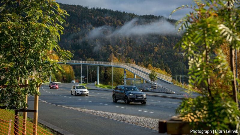 Footbridge near a forest in Norway.