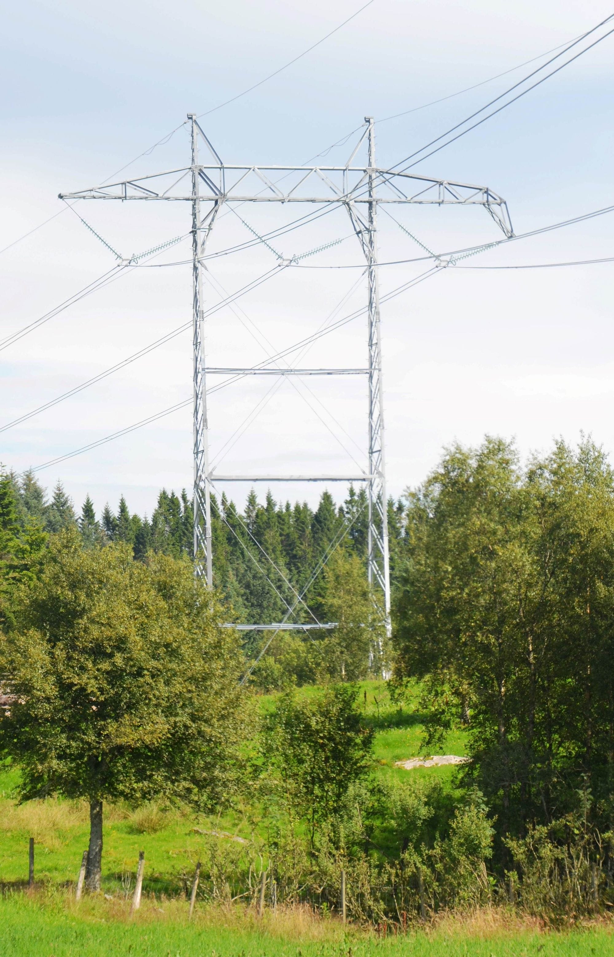 Electric pole on grass amidst trees and blue skies