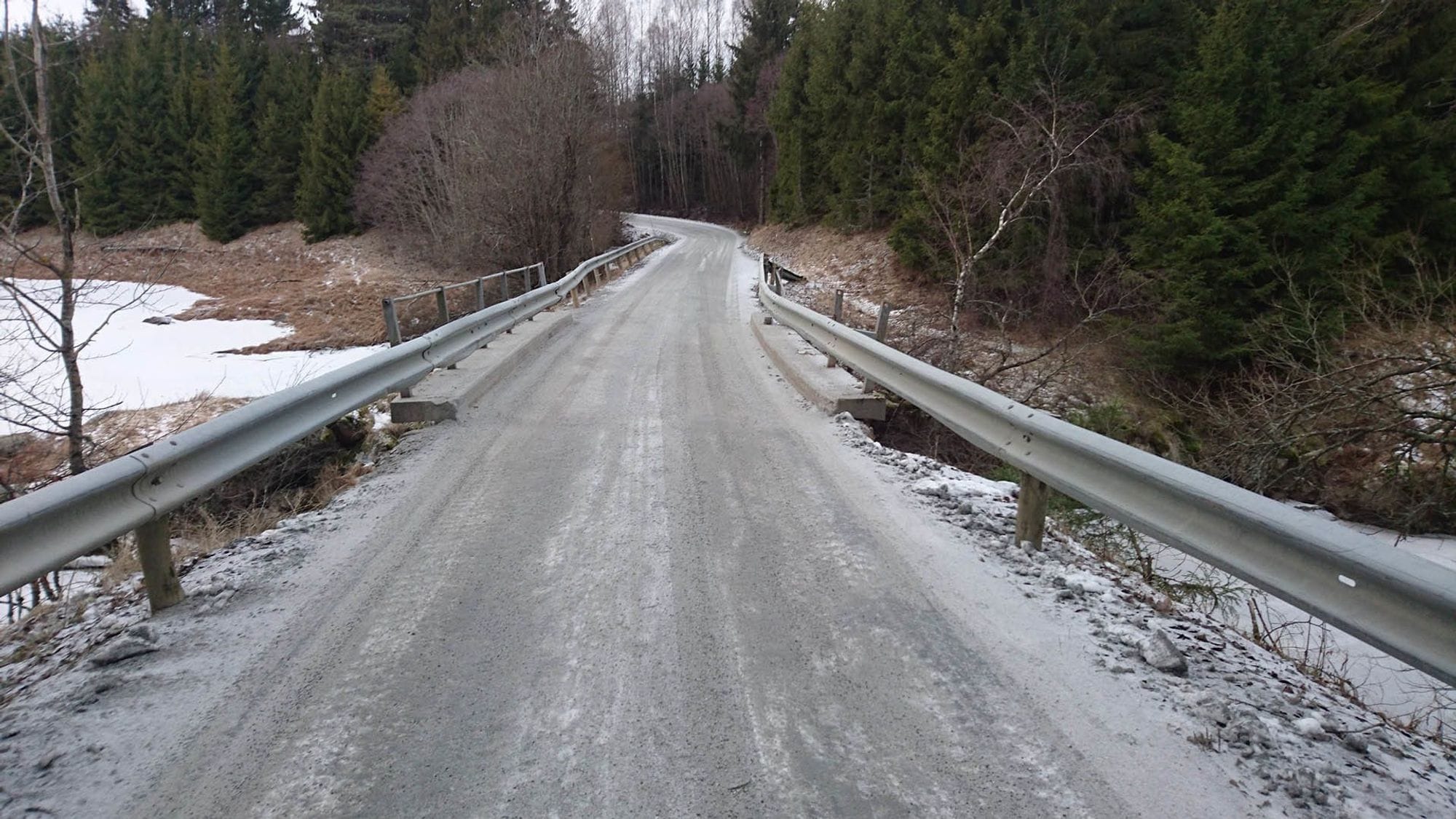 On the top of Tinn bridge before rehabilitation. A road with old railings going over the bridge and towards a pine forest.
