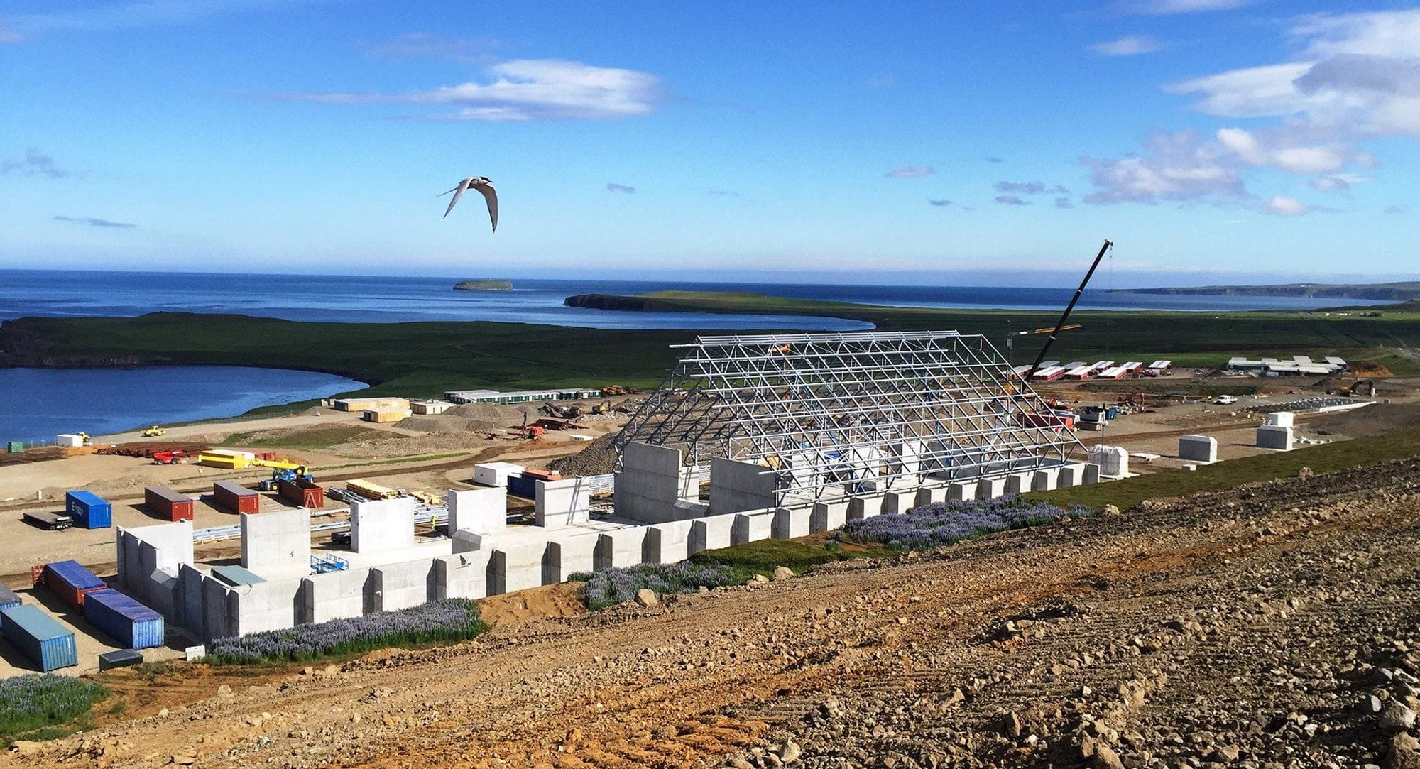 Construction site showing metal structure and concrete pillars, blue skies and the sea surrounding the struction site, bird flies over