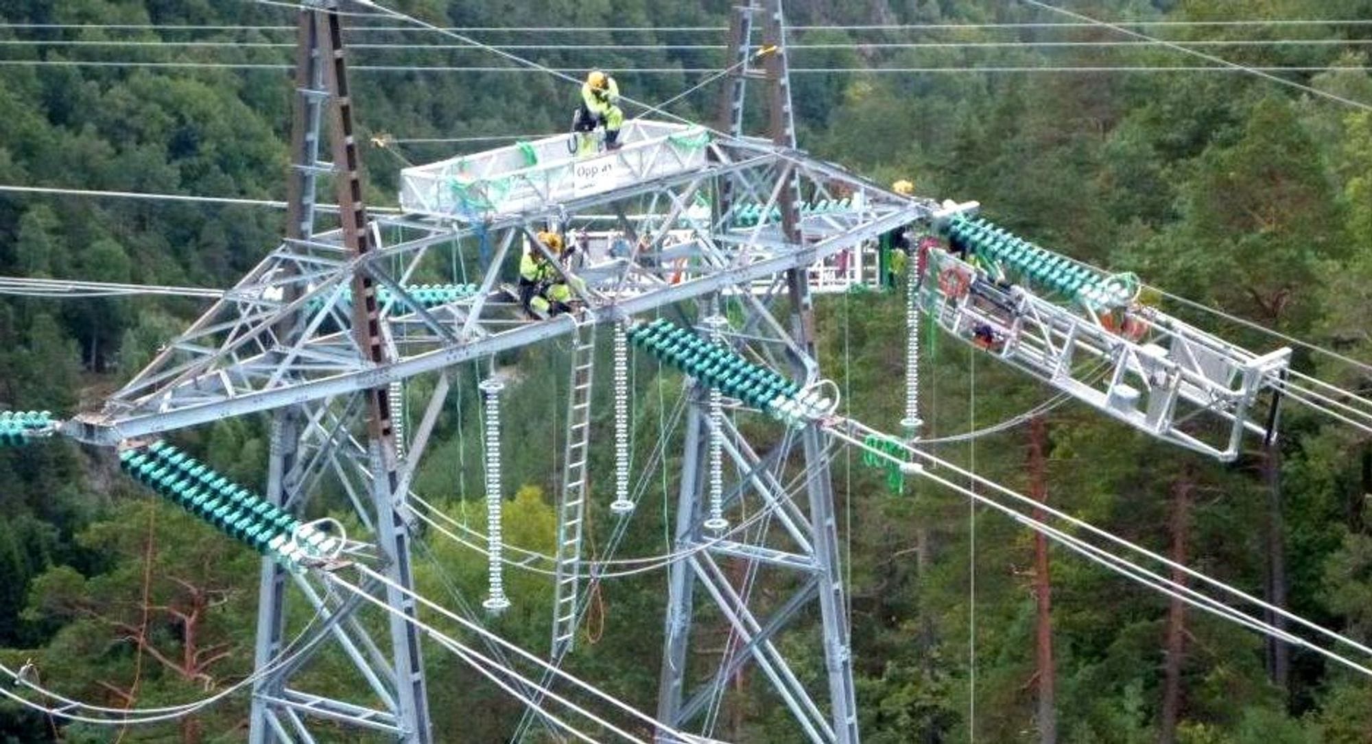 electrical mast in above a woodland