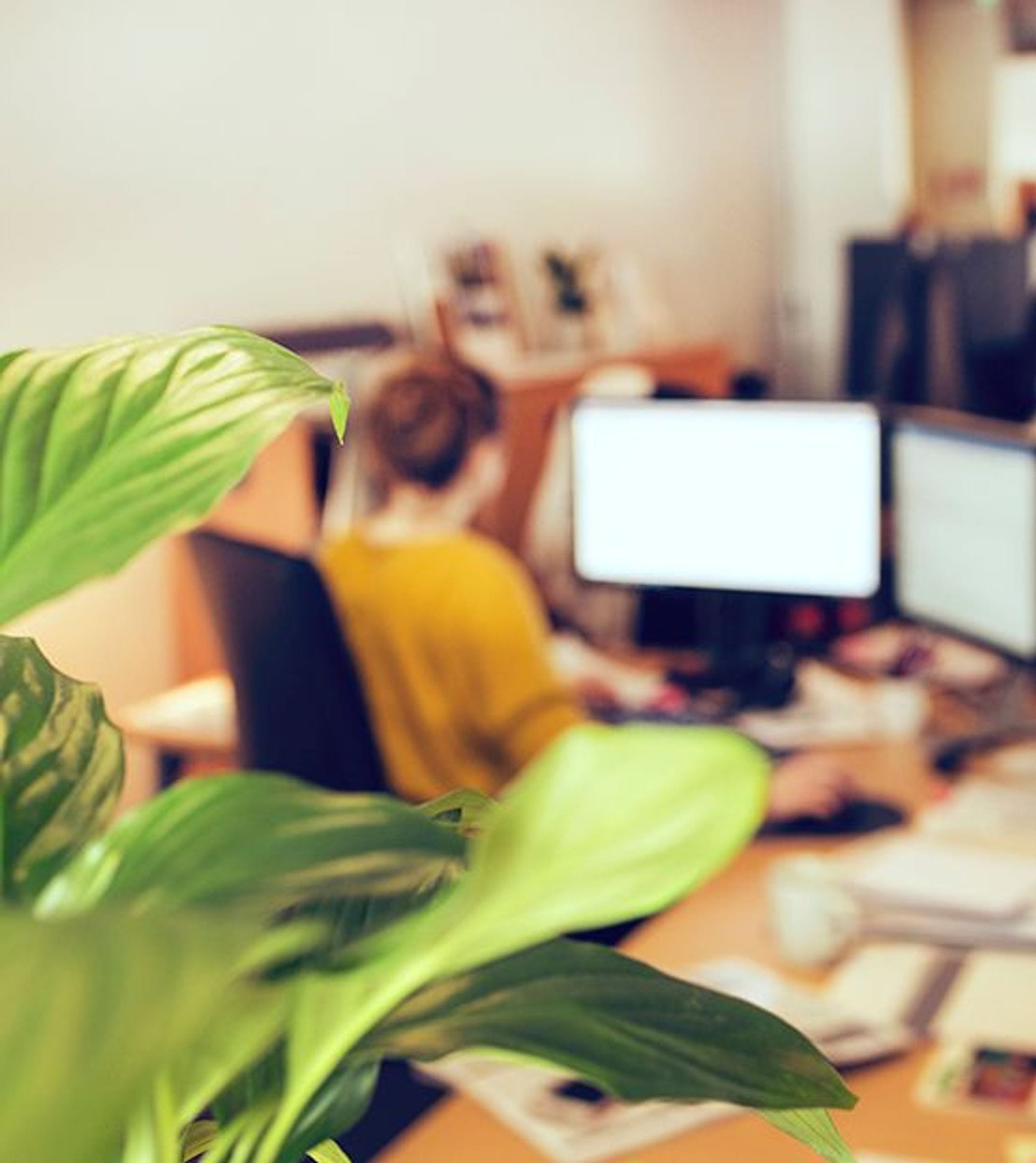 Office space with a plant in focus, woman in a yellow sweater out of focus working on a computer