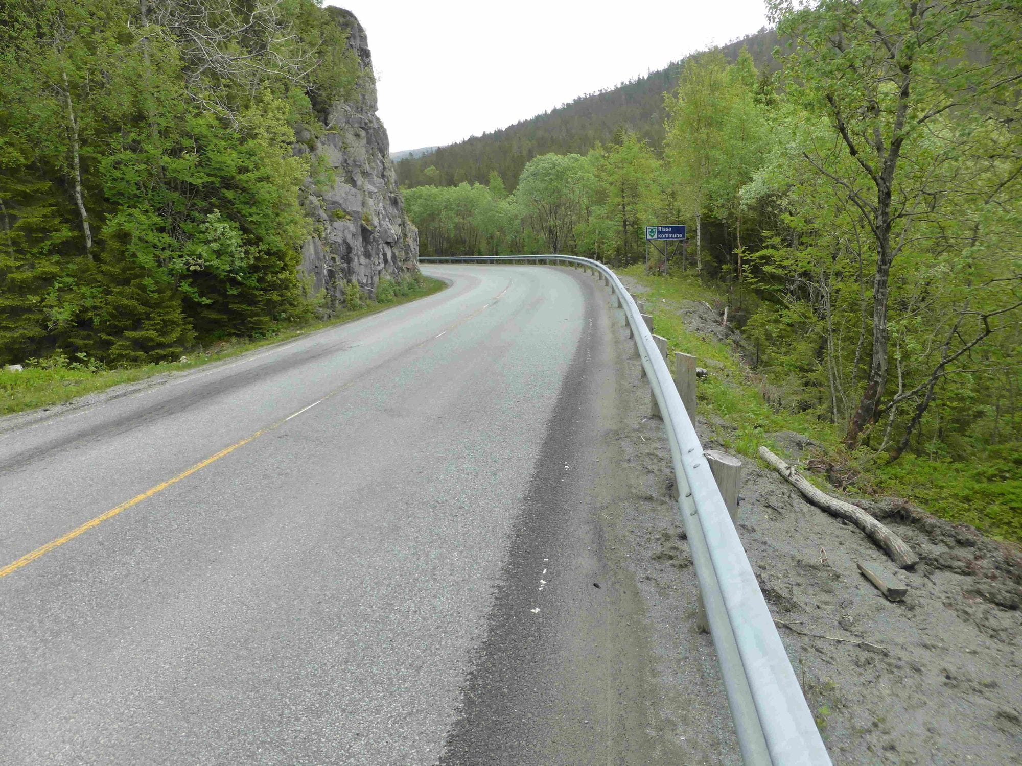 Close up of a road with railing, surrounded by forest and curving around a hill