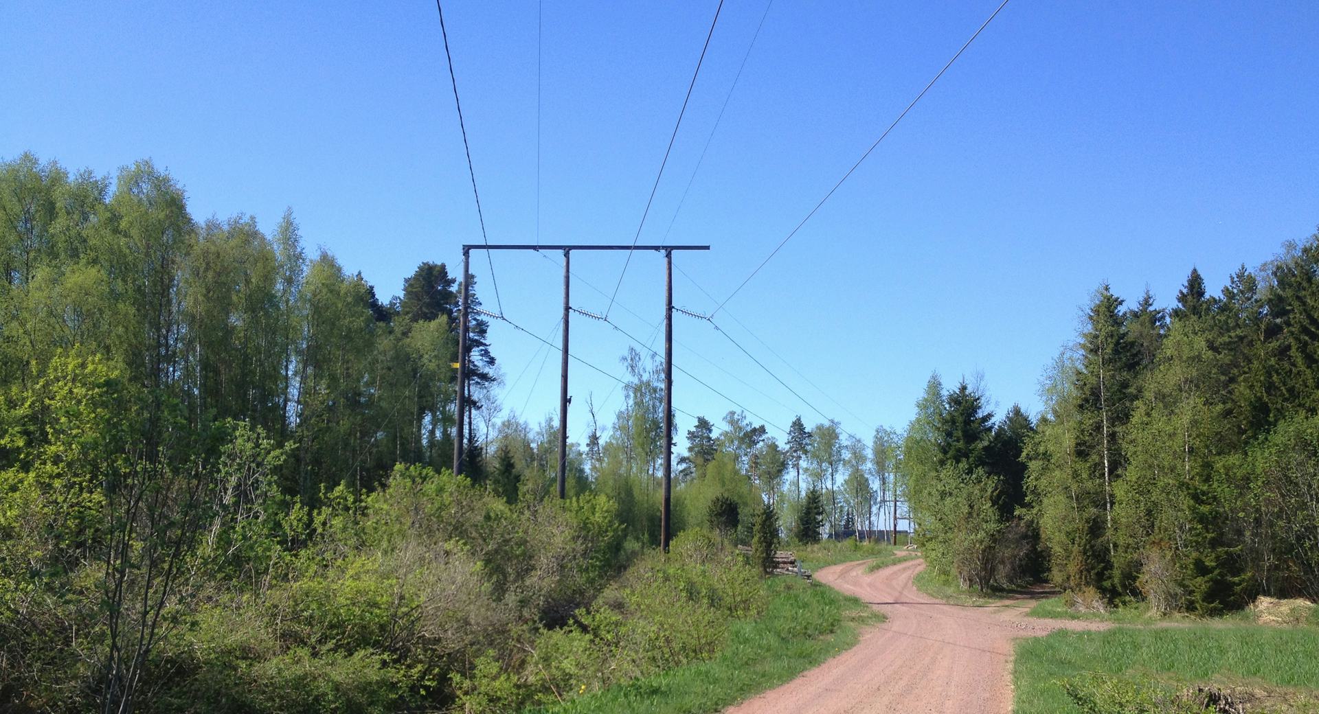Transmission tower surrounded by pine trees, under clear blue sky