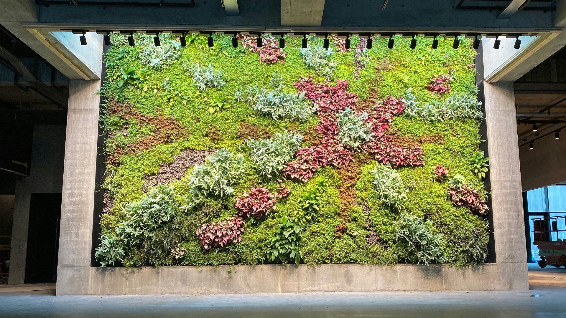 Huge indoor green wall as a display